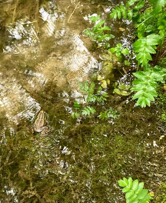 From Split: Krka Waterfalls Guided Tour & Ticket Discount - Flexibility and Cancellation Policy