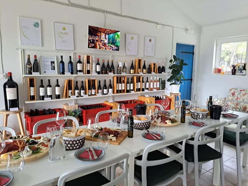 From Split: Krka Waterfalls, Primoten, and Winery Day Trip - Accessibility and Suitability Considerations