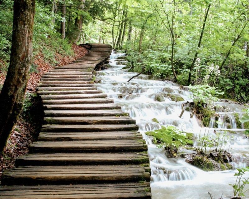 From Split or Trogir: Plitvice Lakes Guided Tour - Comparing This Tour to Other Options
