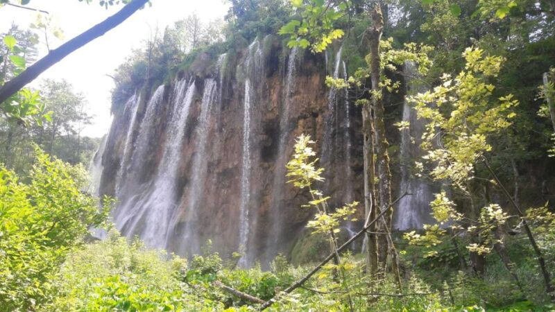 From Split or Trogir: Plitvice Lakes Trip with Entry Ticket - The Train Ride from Proansko Lake: A Scenic Return
