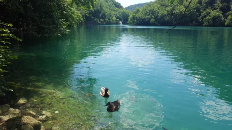 From Split or Trogir: Plitvice Lakes Trip with Entry Ticket - Walking and Comfort: What to Expect