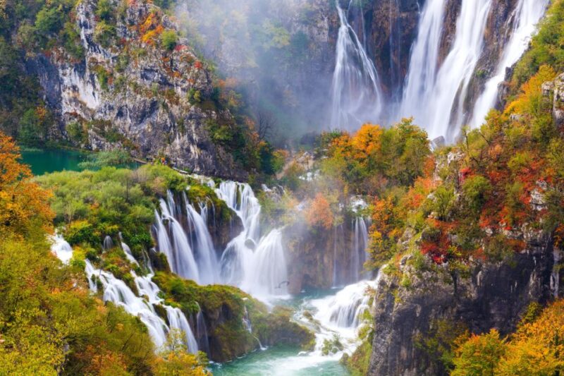 From Split: Plitvice Lakes Guided Tour with Entry Tickets - Encountering Croatia’s Native Flora and Fauna