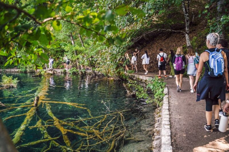 From Split: Plitvice Lakes National Park Guided Tour - Discover the Geology and Formation of the Lakes