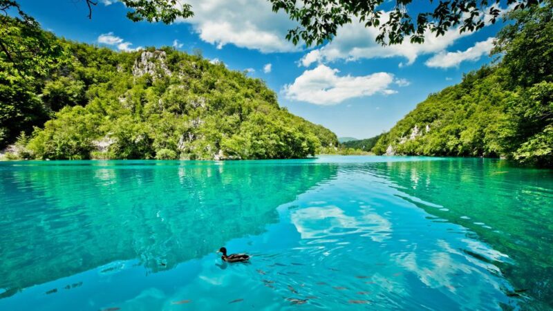 From Split: Transfer to Zagreb with Stop at Plitvice Lakes - Who Should Book This Tour?