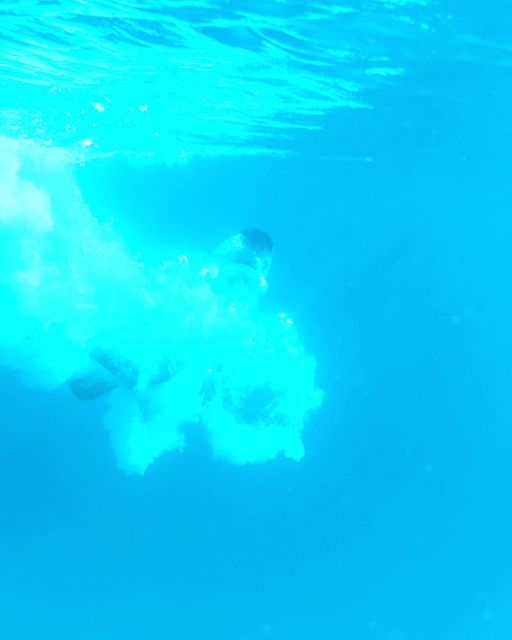 From Split/Trogir: Blue Lagoon & 2 Islands half-day Private - Who Will Appreciate This Experience