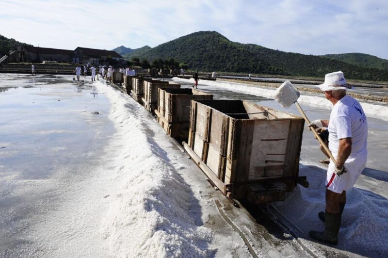 From Split & Trogir: Peljeac Peninsula Food & Wine Tour - Croatian Wines and Gourmet Tastings