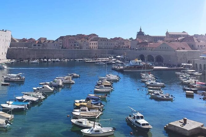 From Split/Trogir Small group tour to Dubrovnik with stop in Ston - Transportation and Group Size