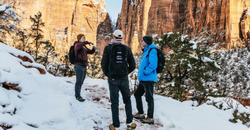 From Springdale: 4-hour Zion Canyon Scenic Hiking Tour - Explore Zion Canyon with a Private Guided Hike from Springdale