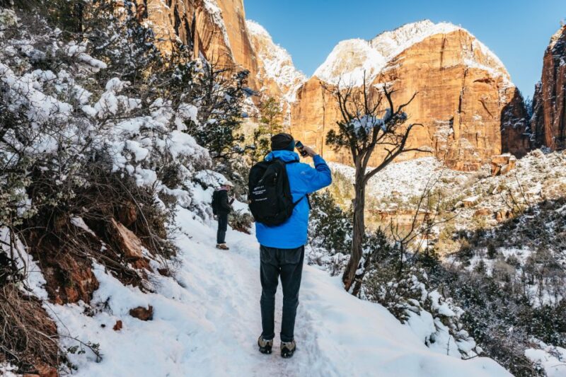 From Springdale: 4-hour Zion Canyon Scenic Hiking Tour - Tailored Hikes Inside Zion National Park