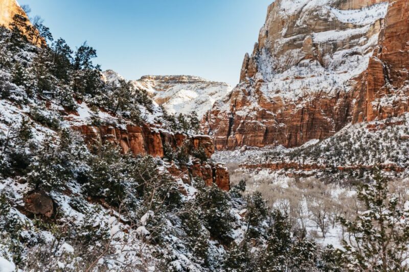 From Springdale: 4-hour Zion Canyon Scenic Hiking Tour - Essential Gear and Preparation