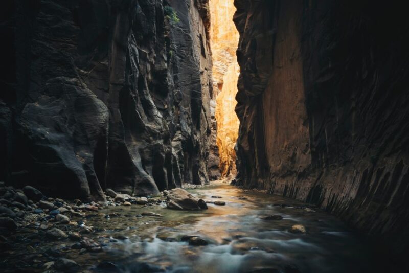 From Springdale: The Zion Narrows Hike with Lunch - Expert Guides who Enhance the Experience
