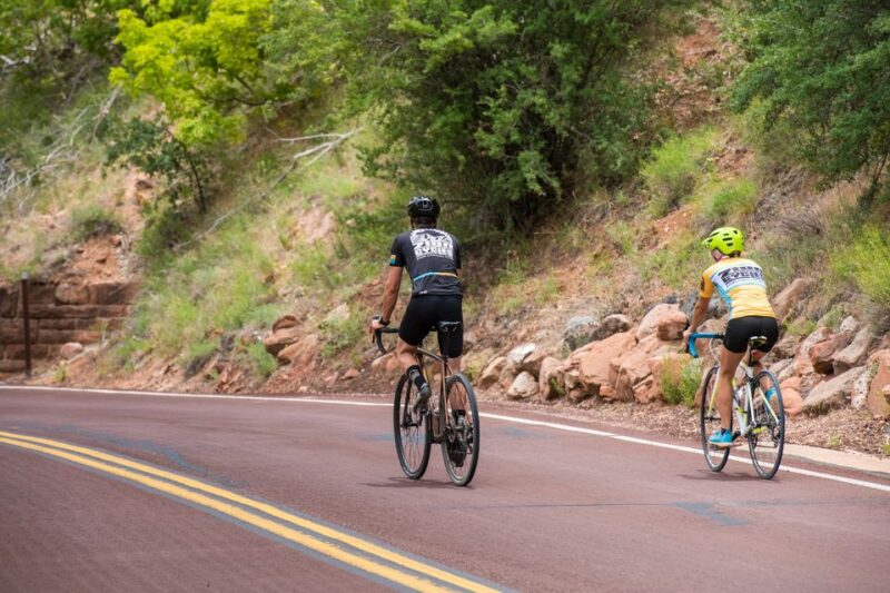 From Springdale: Zion National Park Bike Tour - Key Points