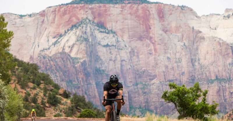 From Springdale: Zion National Park Bike Tour - Choosing Between Inside and Outside Zion’s Scenic Drive