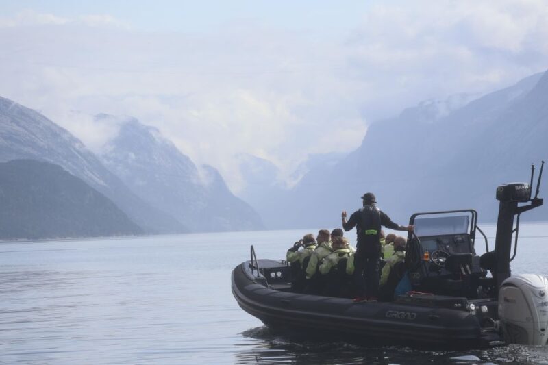 From Stavanger: RIB Tour to Lysefjord - Visiting Preikestolen From Below