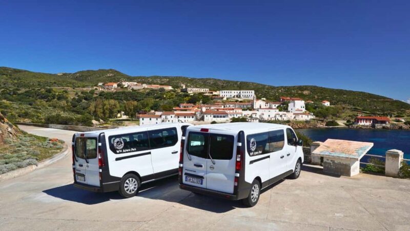 From Stintino: Asinara minivan tour - A Compact but Rich Day Exploring Asinara with Minivan Transport