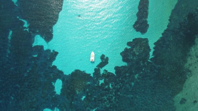 From Stintino: Half-day dinghy tour in Asinara Gulf - Key Points