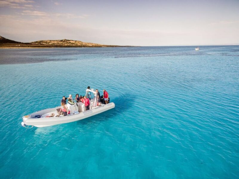 From Stintino: Half-day dinghy tour in Asinara Gulf - Comfortable and Well-Equipped Rubber Boat