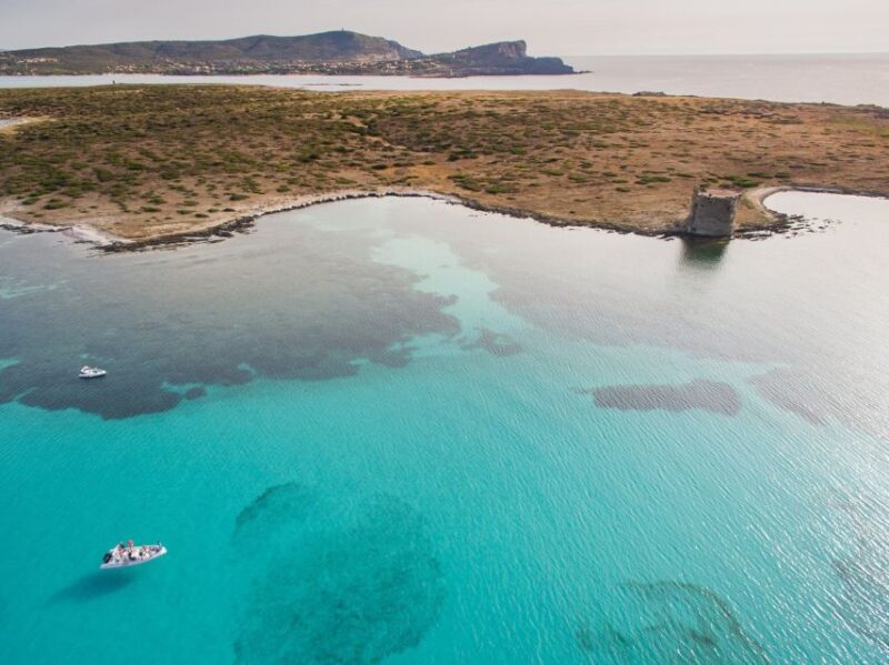 From Stintino: Half-day dinghy tour in Asinara Gulf - Logistics and Practical Tips