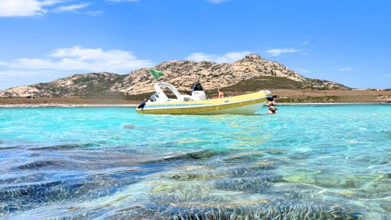 From Stintino: half-day tour by dinghy to Asinara with aperitif - Key Points