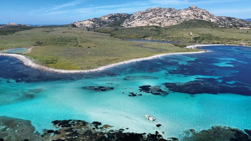 From Stintino: half-day tour by dinghy to Asinara with aperitif - The Expert Guide and Their Narratives