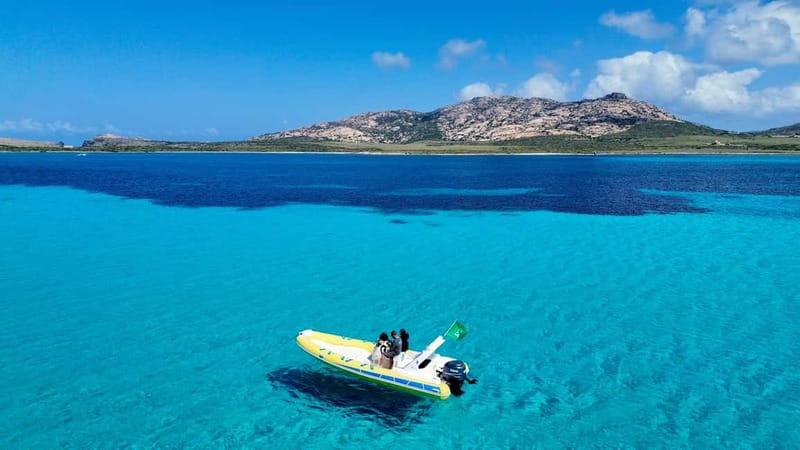 From Stintino: half-day tour by dinghy to Asinara with aperitif - The Onboard Aperitif and Its Local Flavors