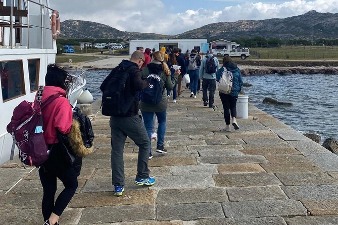 From Stintino: minivan tour of Asinara - Exploring the Cala dOliva Museum and Former Prison