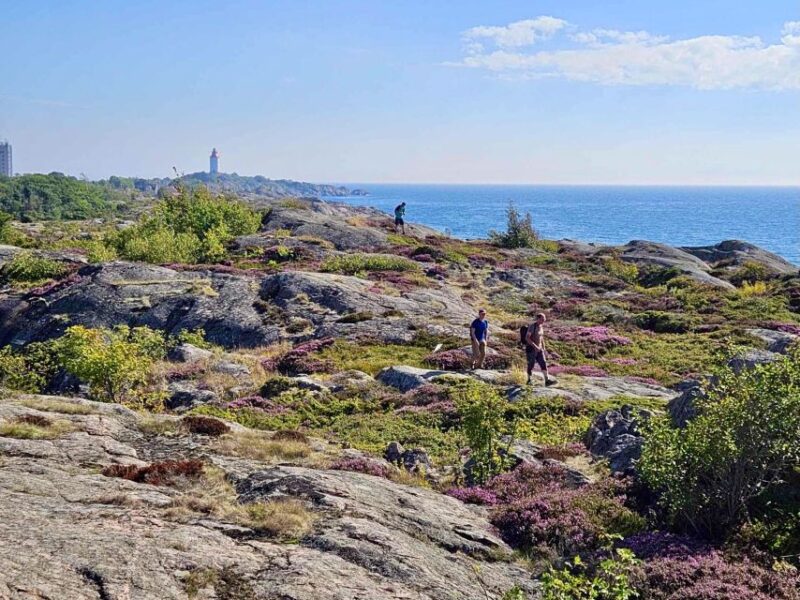From Stockholm: Archipelago Hike to Landsort Lighthouse - Practicalities and What’s Included in the Price