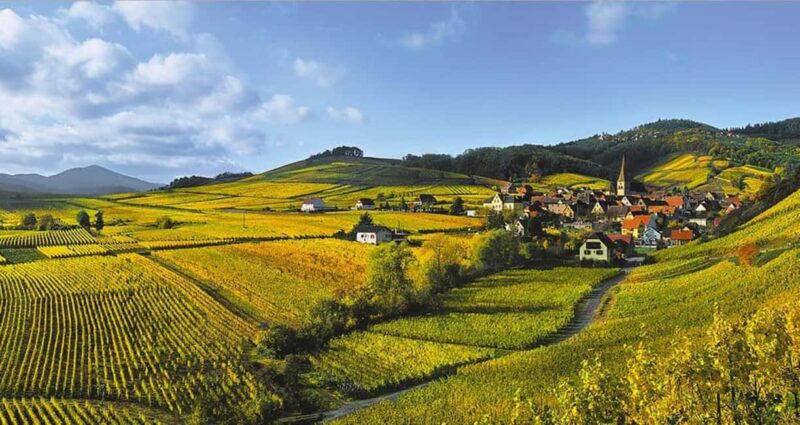 From Strasbourg: a traditional wine tour to Colmar - Exploring Ribeauvillé: Medieval Town and Castles