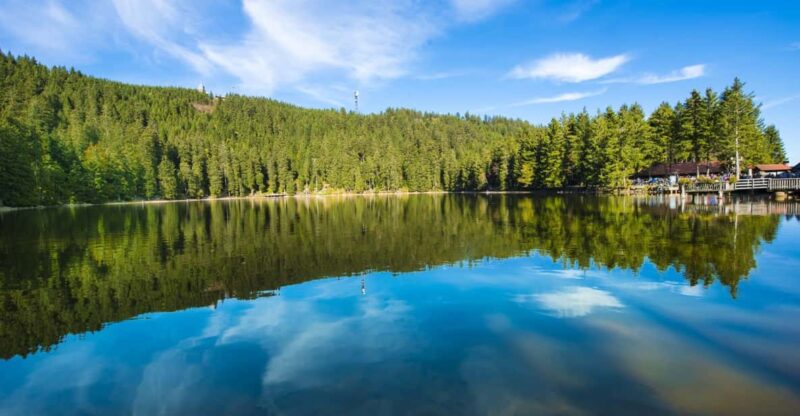 From Strasbourg: Black Forest and Baden Baden Day Trip - Scenic Views and Black Forest Highlights