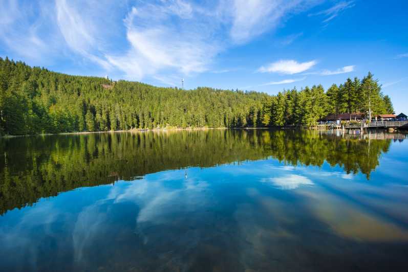 From Strasbourg: Black Forest and Baden Baden Day Trip - Practicalities and Group Size