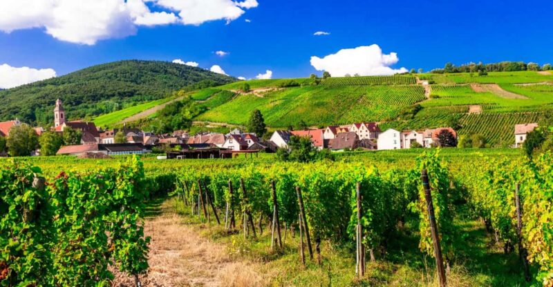 From Strasbourg: Half-Day Tour of Alsace Villages - Exploring the Alsace Wine Route from Strasbourg