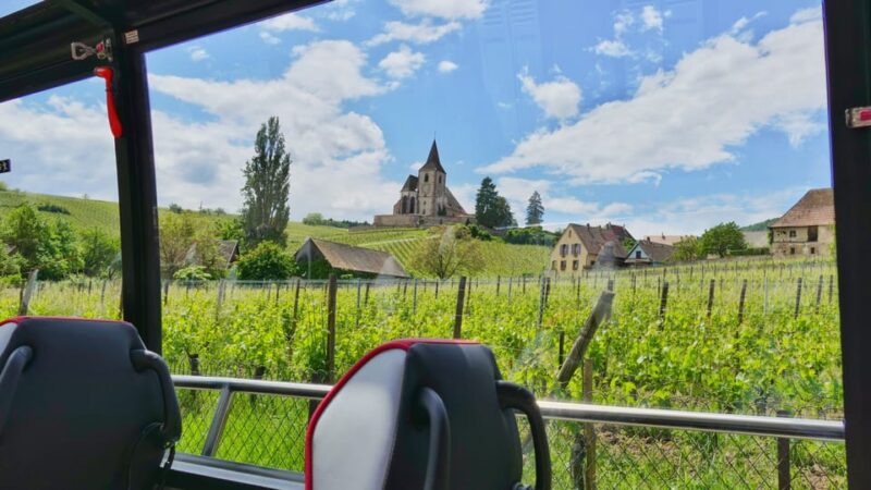 From Strasbourg: Medieval Villages & Wine Tasting Day Trip - Scenic Route and Final Village: Returning from Eguisheim
