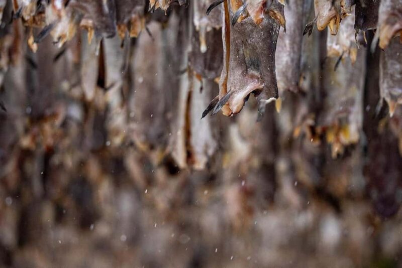 From Svolvær: Half Day Lofoten History and Photo Tour - From Svolvær: Half Day Lofoten History and Photo Tour (A Final Word)