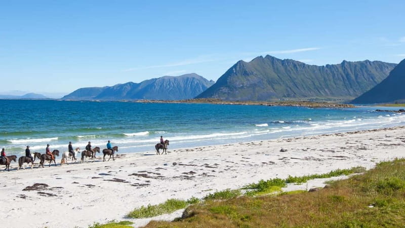 From Svolvær: Henningsvær Lofoten East Island Full Day Tour - Key Points