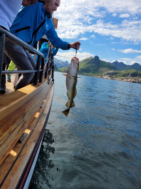 From Svolvaer: Lofoten Fishing Boat Cruise - Using the Provided Fishing Equipment