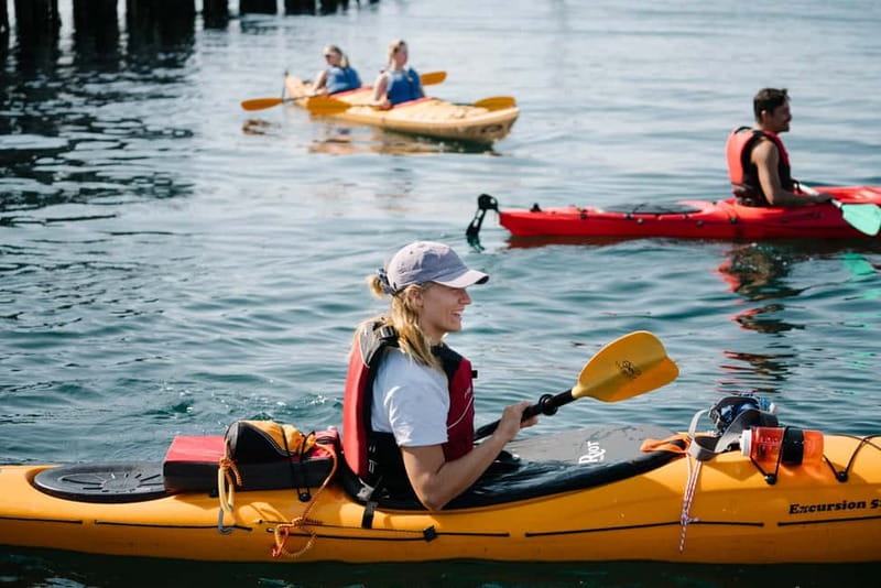 From Svolvær: Lofoten Guided Kayak Experience - What’s Included in the Kayak Tour Package