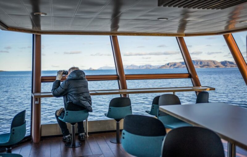 From Svolvær: Lofoten Islands Silent Trollfjord Cruise - Wildlife Encounters: Sea Eagles and More