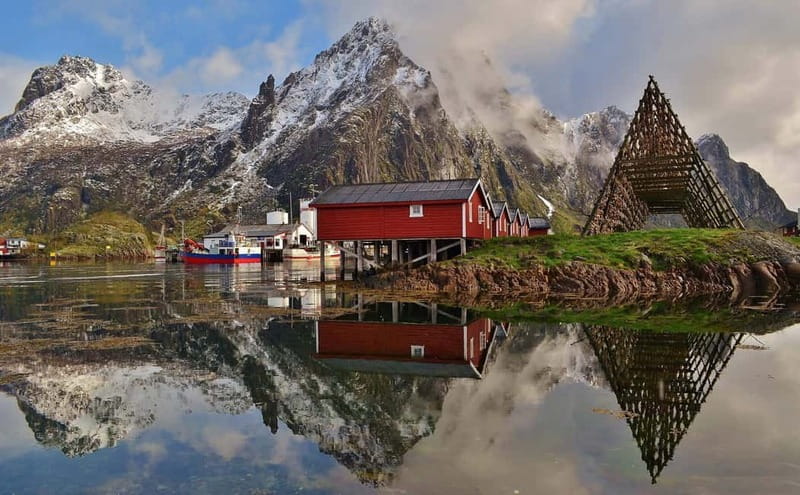 From Svolvær: Lofoten RIB Sea Eagle Safari Trollfjord Cruise - Wildlife Encounters: Sea Eagles and Other Marine Life