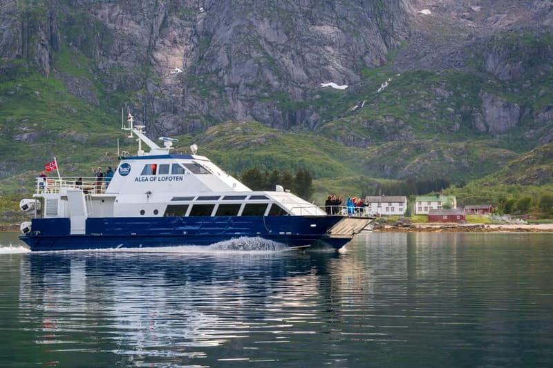 From Svolvær: Lofoten Trollfjord Cruise & Sea Eagle Safari - Practical Tips for a Smooth Trip