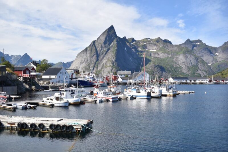 From Svolvaer: Private Lofoten Islands Tour with Transfer - The Natural Beauty of Fjords, Beaches, and Cliffs