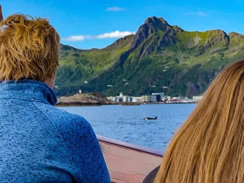 From Svolvær: Private Midnight Sun Yacht Cruise in Lofoten - Pricing and Booking Flexibility