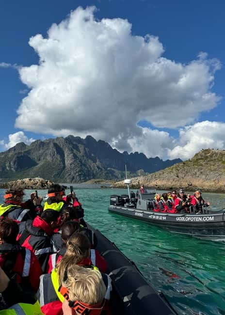 From Svolvær: RIB Boat Lofoten Trollfjord Sea Eagle Safari - Viking Heritage and Local Stories from the Guides