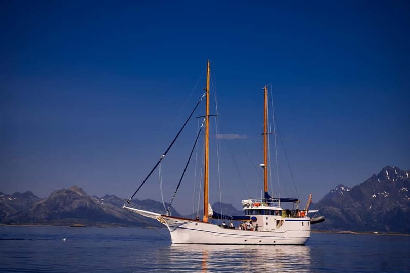 From Svolvær: Taste of Lofoten - Cultural Fishing Experience - Value and Flexibility with Booking and Cancellation