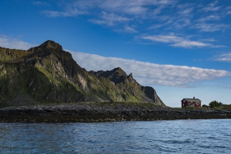 From Svolvaer: Trollfjorden Wildlife RIB Cruise - Visiting the Historic Island of Skrova