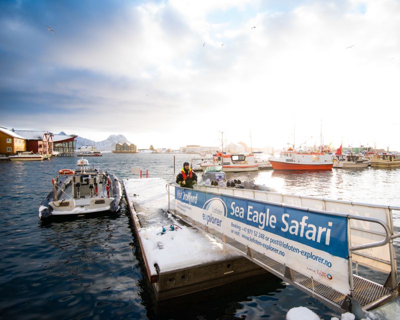 From Svolvaer: Trollfjorden Wildlife RIB Cruise - The Guide’s Role and Tour Atmosphere