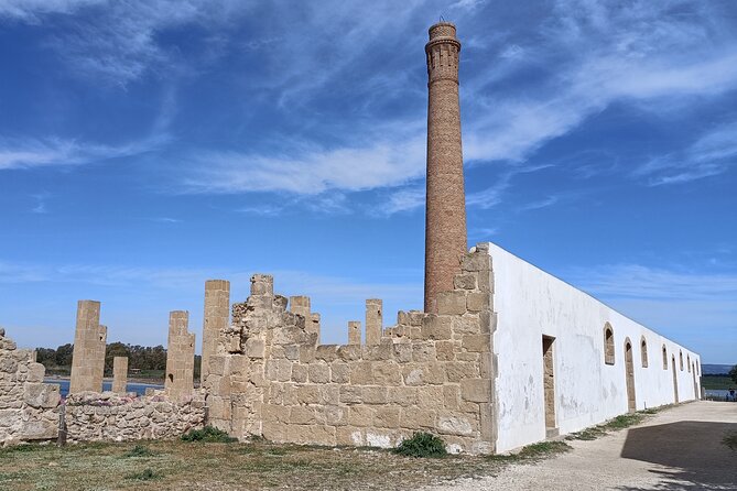 From Syracuse: Vendicari natural reserve - The Sum Up: A Relaxed and Informative Sicilian Nature Experience