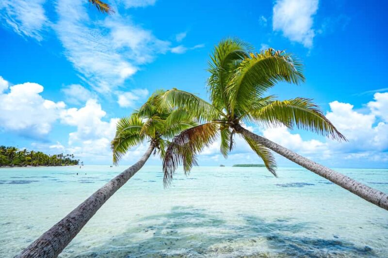 From Tahiti: Tetiaroa Island Tour by Sailing Catamaran - Departure from Tahiti and Meeting Details