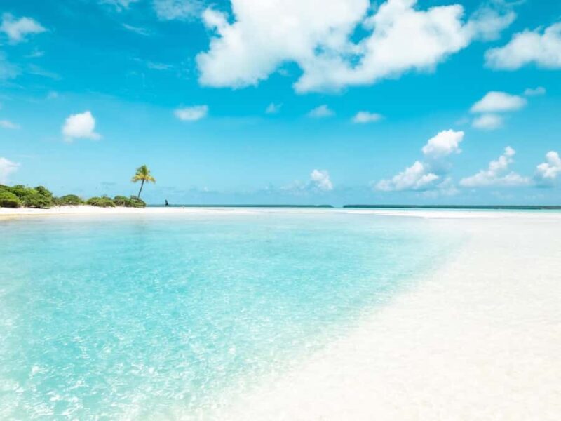 From Tahiti: Tetiaroa Island Tour by Sailing Catamaran - Snorkeling and Marine Life Encounters