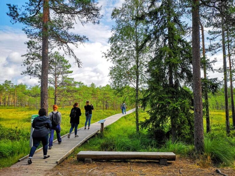 From Tallinn: Bog walk and Sauna Tour - Exploring the Estonian Bog Landscape