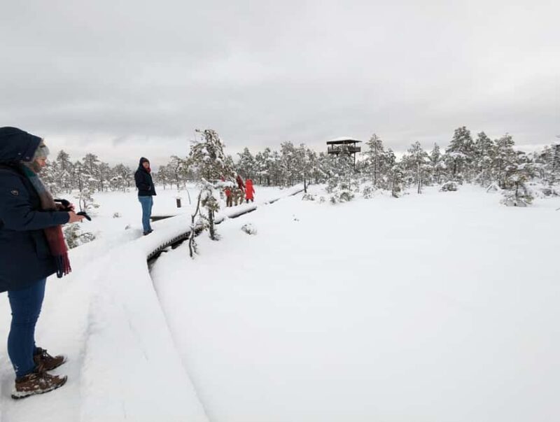 From Tallinn: Bog walk and Sauna Tour - The Logistics and Flexibility of Booking